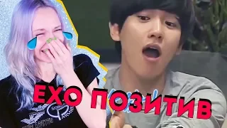 ЕХЕТ-ОХОРАТ! EXO ПОЗИТИВ | K-POP ARI RANG