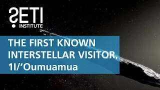 The First Known Interstellar Visitor, 1I/‘Oumuamua