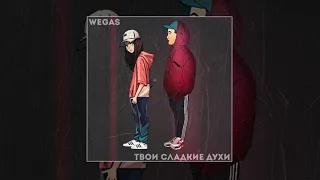 WEGAS - твои сладкие духи (Официальная премьера трека)