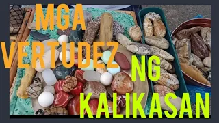 MGA vertudez ng kalikasan CP #09858410187