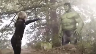 BLACK WIDOW AND HULK REUNION DELETED SCENE REVEALED! Infinity Saga Box Set