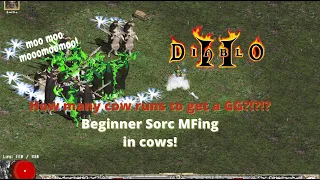 Project Diablo II Season 3! How many cow runs to get a GG drop?? Let's find out!