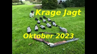 Krage Jagt Oktober 2023 - 12 Fugle