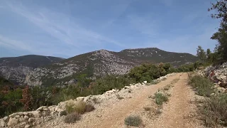 Short Trail Run St-Cézaire-sur-Siagne / Saint-Vallier-de-Thiey / Côte d’Azur 4K