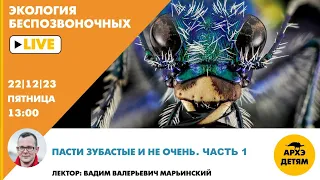 Детский эфир "Пасти зубастые и не очень" рубрики "Неурочные беспозвоночные" с Вадимом Марьинским