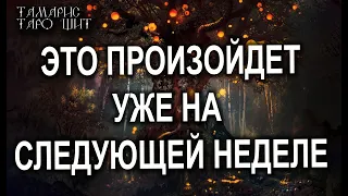 ЭТО УЖЕ ПРОИЗОЙДЕТ УЖЕ НА СЛЕДУЮЩЕЙ НЕДЕЛЕ💯ТАРО / РАСКЛАД / ГАДАНИЕ