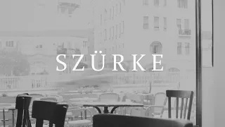 Dzsúdló - Szürke (Official Visualizer) ft. Beck Zoli