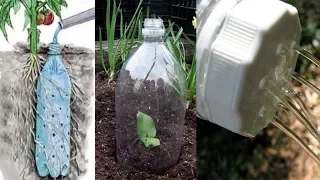 You Will Never Throw Away Plastic Bottles After Watching This, self watering garden