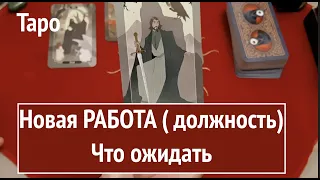 Таро.🎆Ваша новая РАБОТА ( должность) Что ожидать/ Гадание на Таро он-лайн