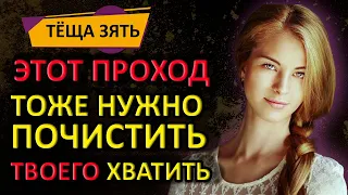 Помог Тёще трубу в печи почистить, а она хотела другое. Измены. теща зять истории жизни. Тёща и зять