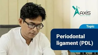 Periodontal Ligament | Dental Anatomy