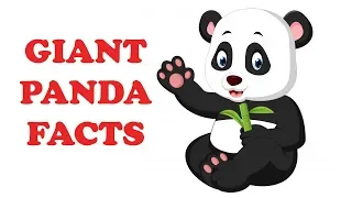 Giant Panda facts for kids - Facts about giant panda for kids - Simply E-learn Kids