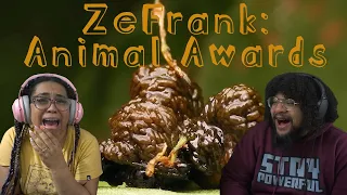 ZeFrank Animal Awards: Best Worst Jumping and More | REACTION with Skitten