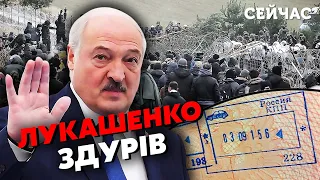 ☝️Шок! Лукашенко ПРИВЕЗ МЕРТВЫХ НА ГРАНИЦУ! Белорусы пошли на ШТУРМЫ. Готовится встреча с Орбаном