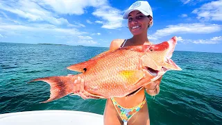 My Girlfriend Speared her FIRST Fish! (Bahamas spearfishing)