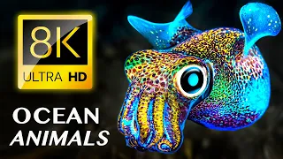 Очаровательные создания океана 8K ВИДЕО ULTRA HD