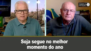 Soja segue no melhor momento do ano