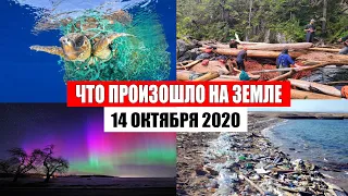 Катаклизмы за день 14 октября 2020 | месть природы,изменение климата,событие дня, в мире,боль земли