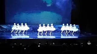 Танец Маленьких Лебедей на Воде! Харьковский Театр Оперы и Балета