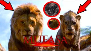 TOP 10 PLOT POINTS & DETAILS CONFIRMED IN MUFASA 2024 | THE LION KING PREQUEL