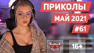 😂 ЛУЧШИЕ ПРИКОЛЫ МАЙ 2021 | Я РЖАЛ ДО СЛЕЗ | Выпуск #61