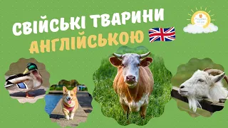 Свійські тварини англійською мовою🐷 Domestic animals. Англійська для початківців