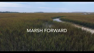 Marsh Forward: The South Atlantic Salt Marsh Initiative