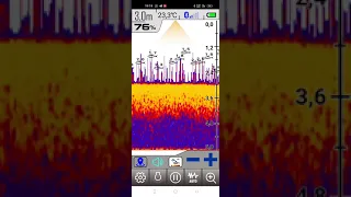 запись работы эхолота Erchang F68 .