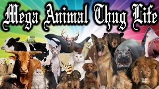 MEGA THUG LIFE ANIMALS 1 - LONG COMPILATION! 2016