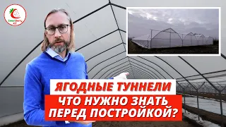 Особенности ягодных туннелей