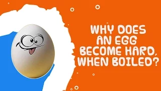 Interesting Food Facts | Why Does An Egg Become Hard, When Boiled