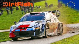 Best of WRC Central European Rally 2023 | Crashes, Action and Raw Sound