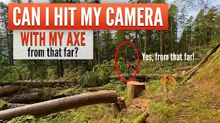 Dropping Hemlocks and a large Fir off a ledge