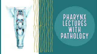 PHARYNX lecture 13 ACUTE TONSILLITIS with all important points