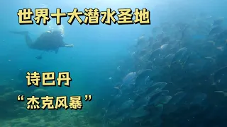 在世界十大潜水圣地诗巴丹潜水是什么体验？看到杰克鱼群风暴，太美了!