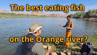 Glen Tieties ranks the best eating fish on the Orange river, die beste eetvis op die Oranje.