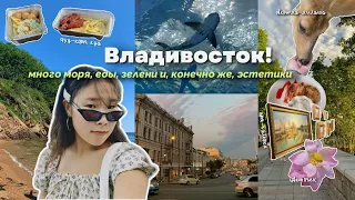 ВЛАДИВОСТОК что посетить? | влог: отдых в другом городе☀️