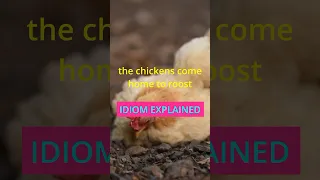 The chicken come home to roost #idiom EXPLAINED