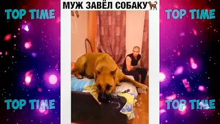 Cмешные видео приколы инстаграма - Funny videos of instagram 2020😎 #33