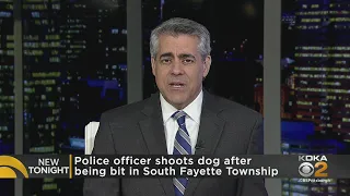 Police officer shoots dog after being bit in S. Fayette Twp.