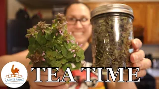 Dead Nettle Tea// How to make dead nettle tea on the Homestead