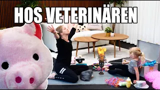 HOS VETERINÄREN - kan Clara bota alla djuren från zombiesmitta? [2-6 ÅR]