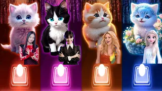 Cute Cats Dance | Jisoo Flower | Wednesday Bloody Mary | Shakira Waka Waka | Elsa Enemy | Cat Songs