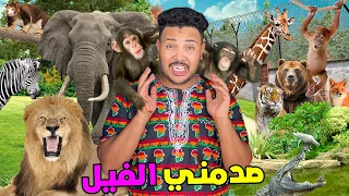 اخيرا.. تجولنا فاغرب حديقة حيوانات🙈بساحل العاج🇨🇮 صدمني حجم الفيل 🤯🐘