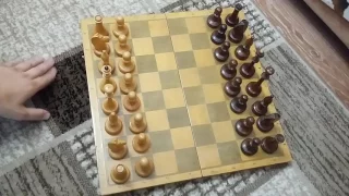 Шахматы для начинающих. Шахматные фигуры. Урок 1. Chess for beginners. Lesson 1.