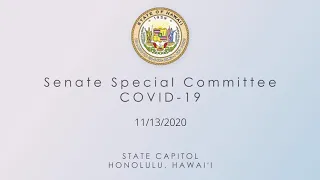 Senate Special Committee on COVID-19 11/13/20 1:00pm