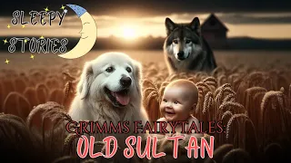 Listen To Old Sultan by The Brothers Grimm| Relaxing Storytelling With Healing River Sounds