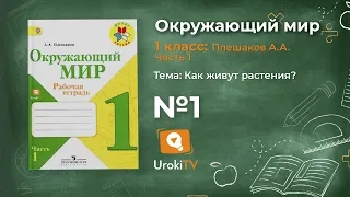 Задание 1 Как живут растения? - Окружающий мир 1 класс (Плешаков А.А.) 1 часть