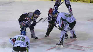 DEL 2015-2016 Straubing Tigers vs Augsburger Panther (22 Jan 2016)