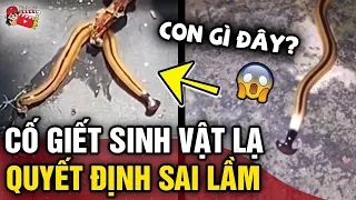 Phát hiện 'SINH VẬT LẠ' bò vào nhà, thanh niên 'TÌM CÁCH TIÊU DIỆT' một cách 'SAI LẦM' | Tin 3 Phút